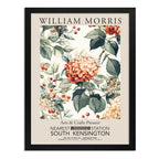 Cuadro Hortensias William Morris Botanica Flores Exposición Museo De South Kensington Negro