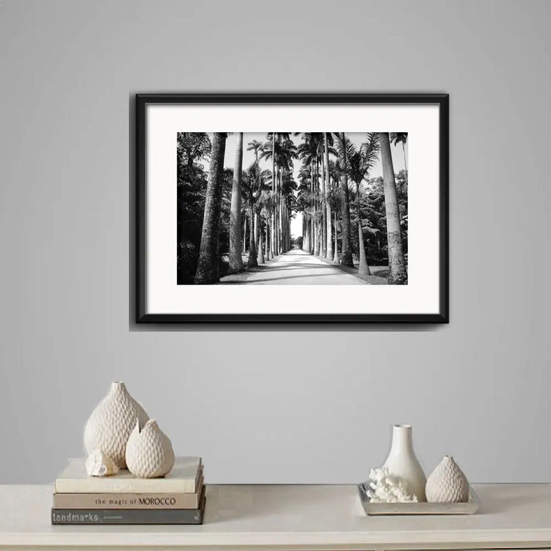 Cuadro Rio De Janeiro Fotos Blanco Negro Brs8 Con Paspartú Jardín Botánico Palmeras Con Marco Negro