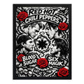 Cuadro Red Hot Chilli Peppers Blood Sugar Sex Magik Rock Marco Negro