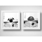 Set 2 Cuadros Perro Baño Pug Dachshund Mascotas Pet Decora