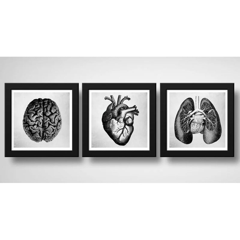 Set 3 Cuadros Anatomia Medico Corazón Cerebro Pulmón 33x33cm Marco Negro