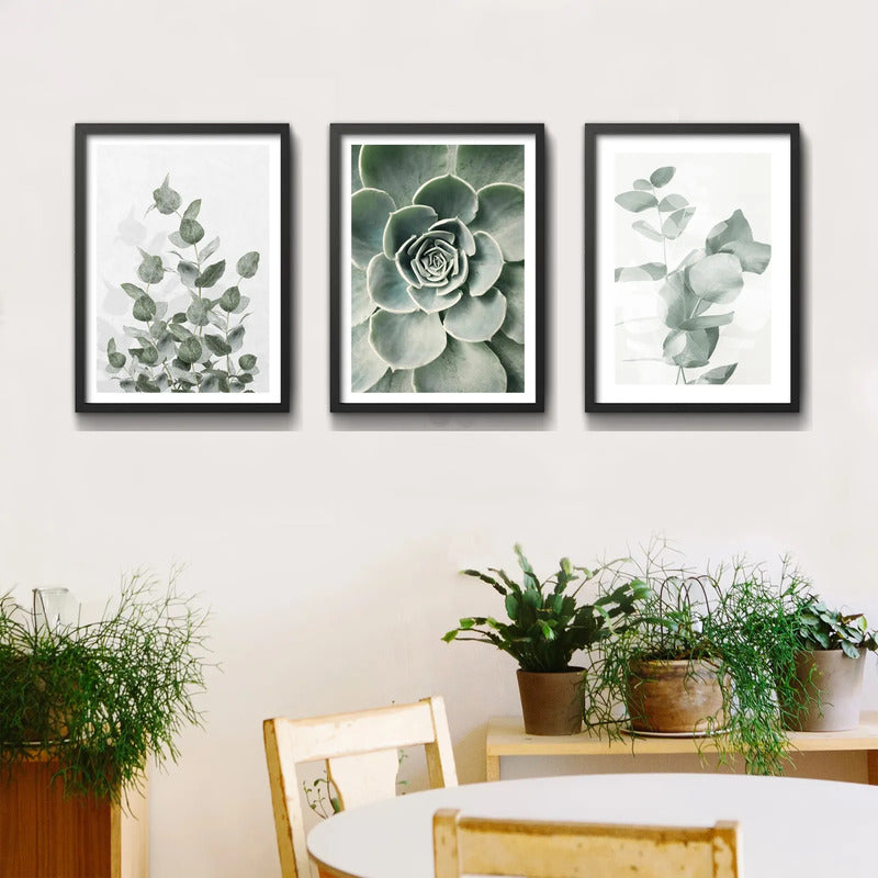 Set 3 Cuadros Naturaleza Verde Hojas Plantas Botanica Marco Negro