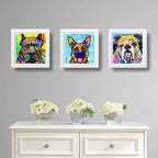 Set 3 Cuadros Perro Pop Art Colorido Mascota Pet Decoracion