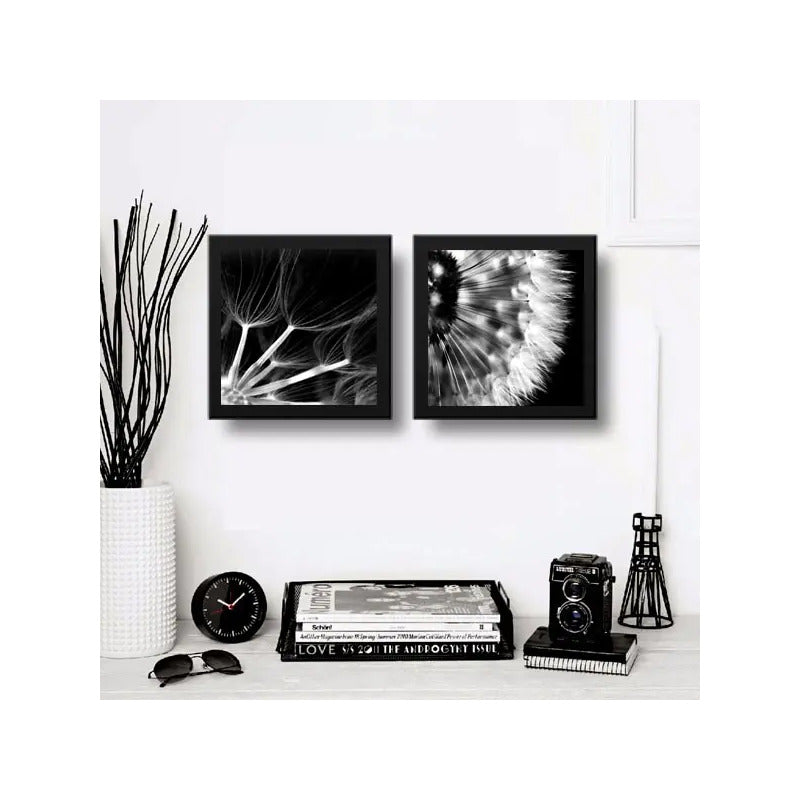 Set 2 Cuadros Flor Diente De Leon Blanco Y Negro Taraxacum