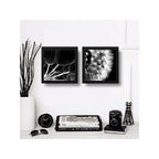 Set 2 Cuadros Flor Diente De Leon Blanco Y Negro Taraxacum