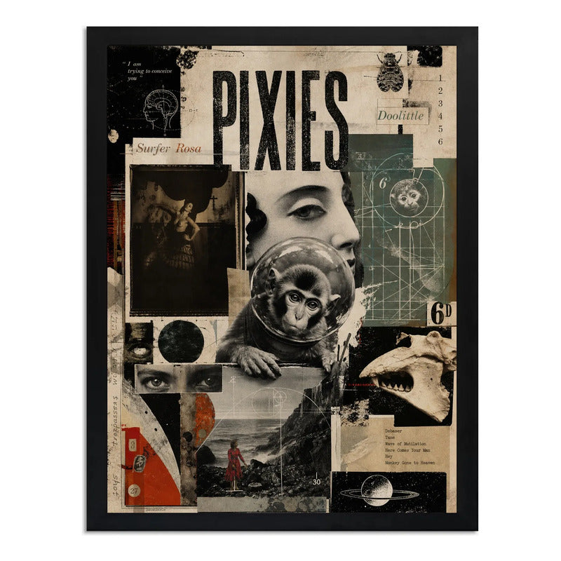 Cuadro Pixies Rock Arte Vintage Surfer Rosa Album Musica Marco Negro