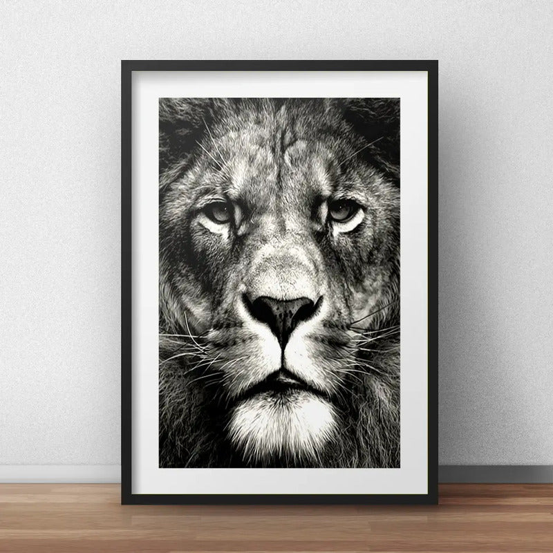Cuadro León Blanco Y Negro Animales Decoracion Con Paspartú Marco Negro