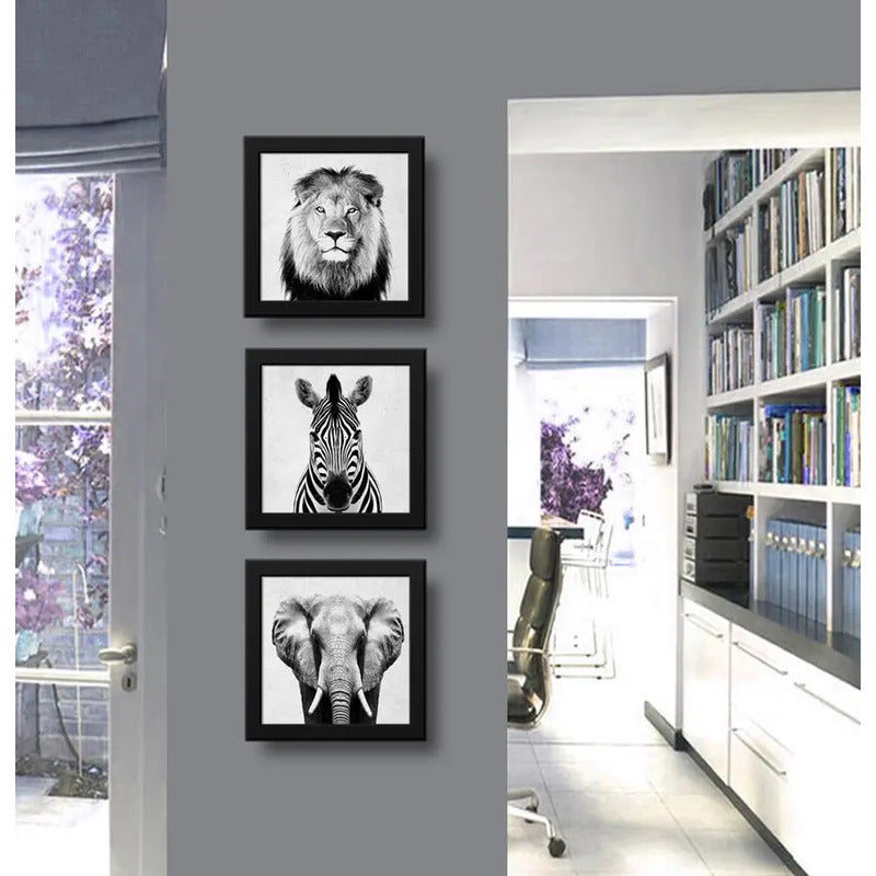 Set 3 Cuadros León Cebra Elefante Blanco Y Negro Decoracion