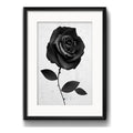 Cuadro Rosa Negra Gotico Moderno Decoracion Con Paspartú Marco Negro