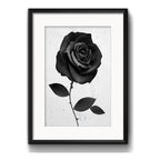 Cuadro Rosa Negra Gotico Moderno Decoracion Con Paspartú Marco Negro