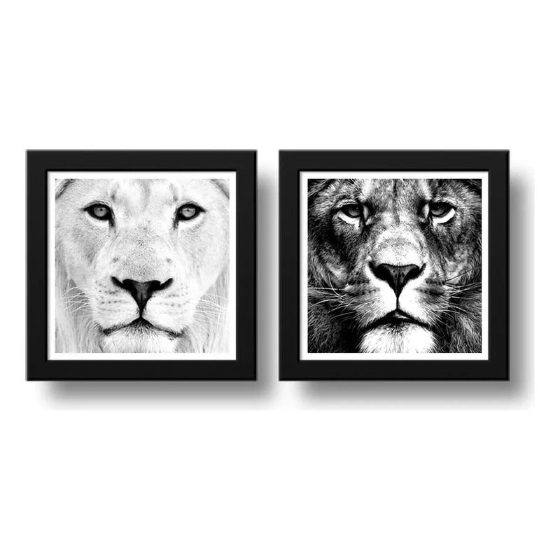 Set 2 Cuadros Leon Blanco Leones Sabiduría Animal Decoracion