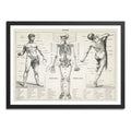 Cuadro Esqueleto Cuerpo Humano Médico Anatomia Clinica Marco Negro