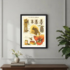 Cuadro La Vida De Una Abeja Miel Naturaleza Vintage Arte Marco Negro