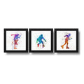 Set 3 Cuadros Patines Pop Art Rollers Deportes Skate Club