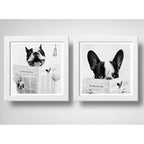 Set 2 Cuadros Perro Baño Mascota Diario Decoracion Pet Brs07