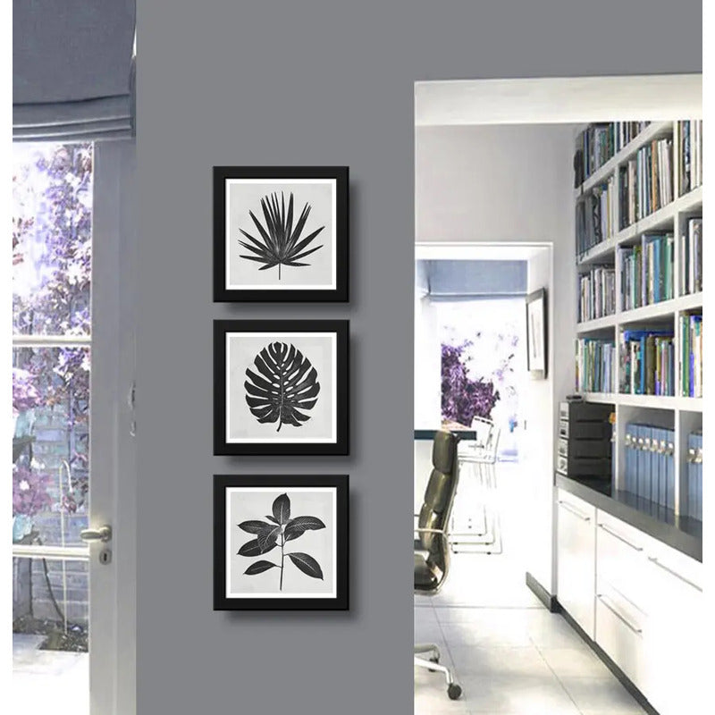 Set 3 Cuadros Hojas Minimalista Blanco Y Negro Arte Botanico