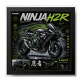 Cuadro Kawasaki Ninja Motocicleta Moto Gp Deportes Coleccion Marco Negro