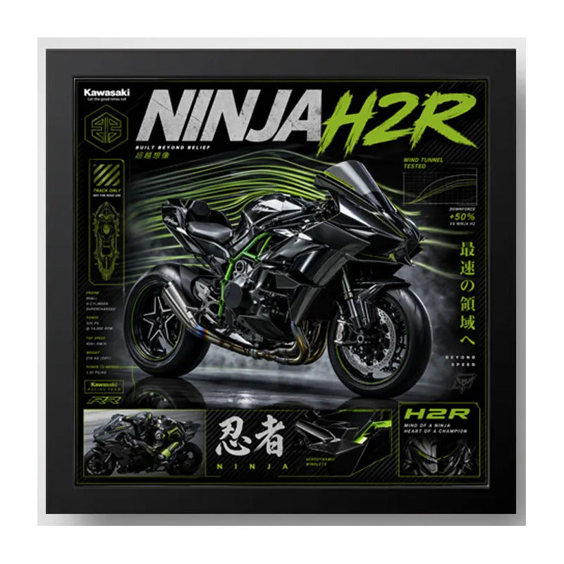 Cuadro Kawasaki Ninja Motocicleta Moto Gp Deportes Coleccion Marco Negro
