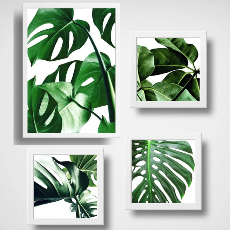 Set 4 Cuadros Hojas Plantas Monstera Botanico Br1 Decoracion
