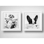 Set 2 Cuadros Perro Baño Mascota Diario Decoracion Pet Brs11