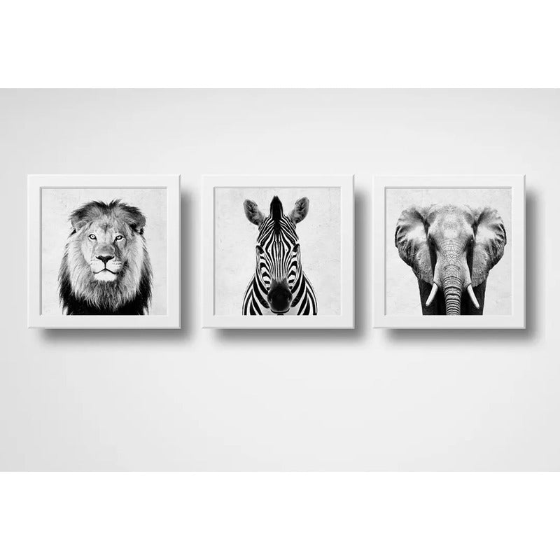 Set 3 Cuadros León Cebra Elefante Blanco Y Negro Decoracion