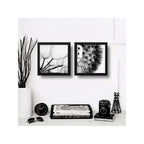 Set 2 Cuadros Flores Diente De Leon Blanco Y Negro Arte