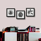 Set 3 Cuadros Hojas Minimalista Blanco Y Negro Arte Botanico