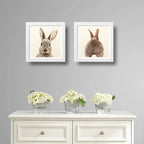 Set 2 Cuadros Conejo Pet Animal Arte Decoracion