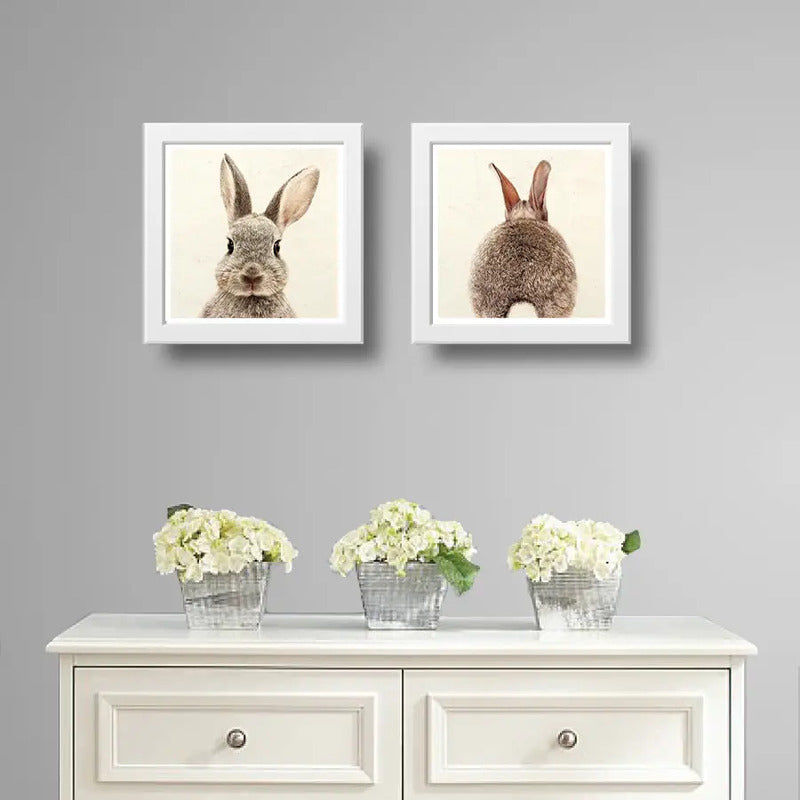 Set 2 Cuadros Conejo Pet Animal Arte Decoracion