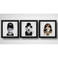 Set 3 Cuadros Perro Chaplin Gatas Audrey Hepburn Y Cleopatra