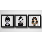 Set 3 Cuadros Perro Chaplin Gatas Audrey Hepburn Y Cleopatra