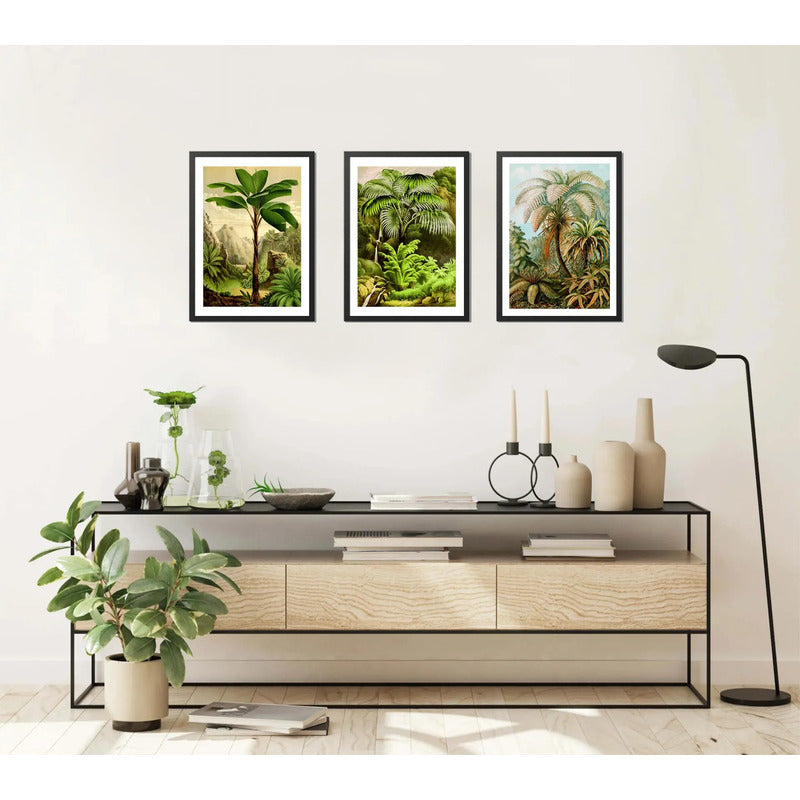 Set 3 Cuadros Arboles Vida Arte Colores Naturaleza Botanica Marco Negro