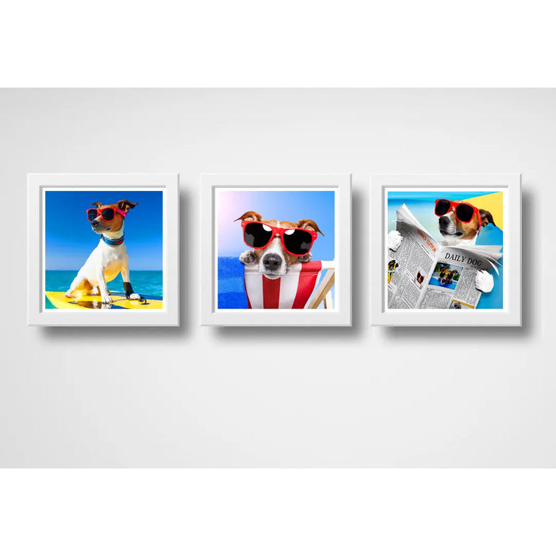 Set 3 Cuadros Perro Playa Surf Mascota Pet Arte Decoracion
