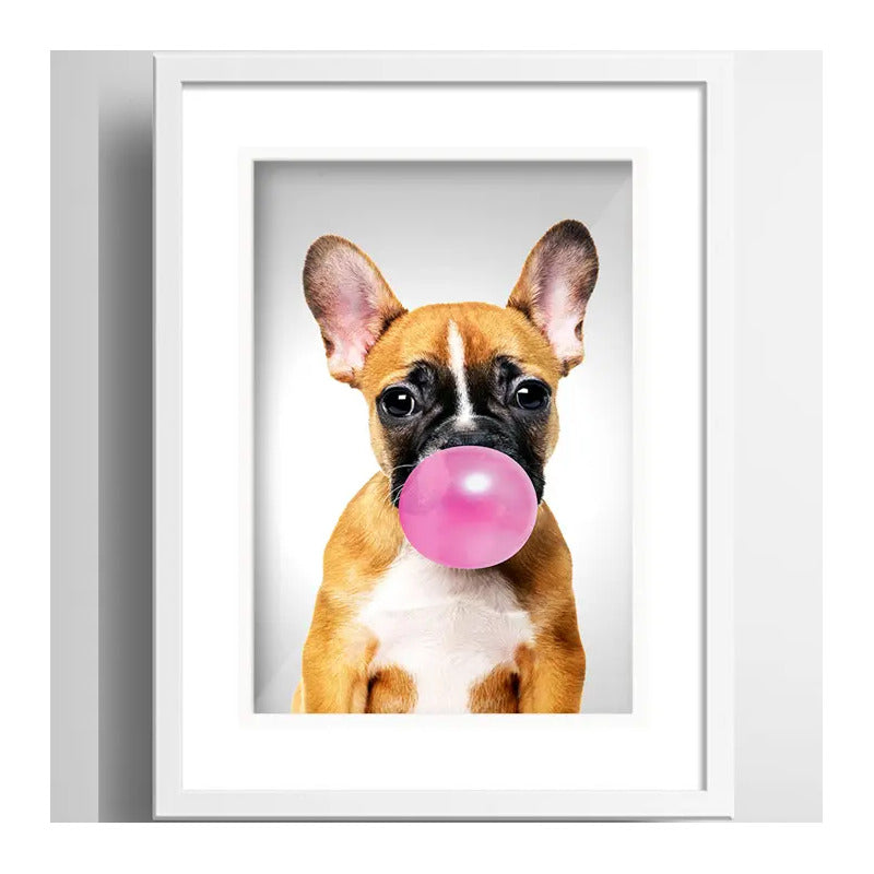 Cuadro Perro Chicle Bulldog Mascota Pet Decoracion Paspartú