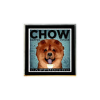 Cuadro Perro Cafe Pop Art Todas Razas Mascota Pet Decoracion