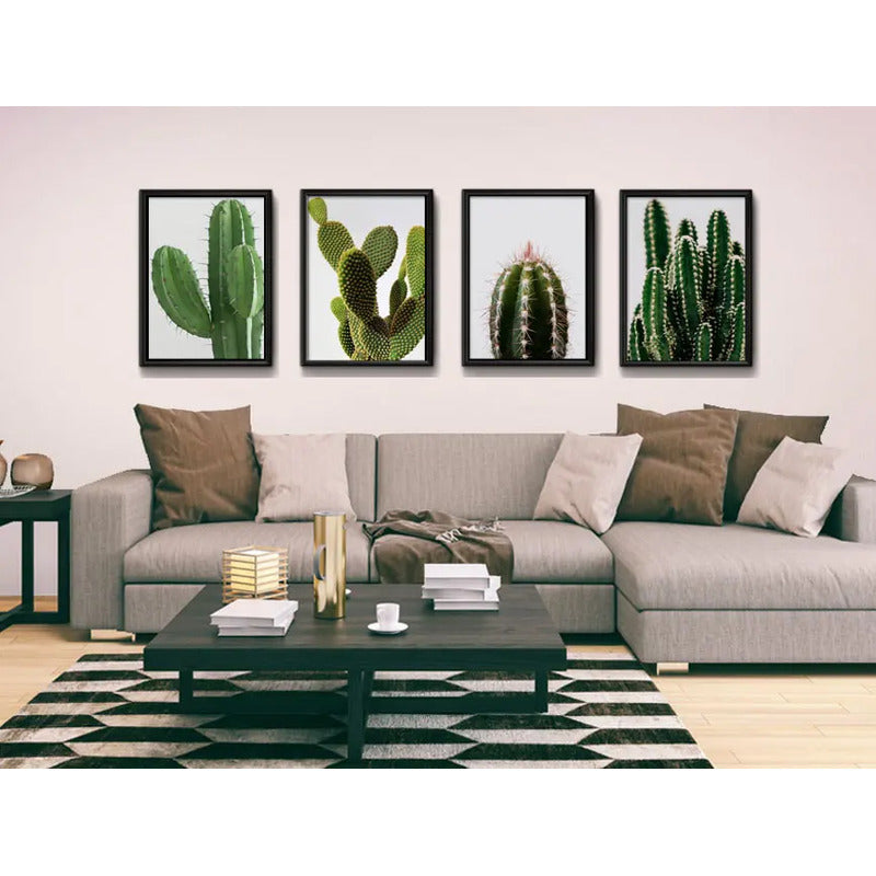 Set 4 Cuadros Cactus Suculentas Plantas Botanico Decoracion