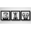 Set 3 Cuadros León Cebra Elefante Blanco Y Negro Decoracion