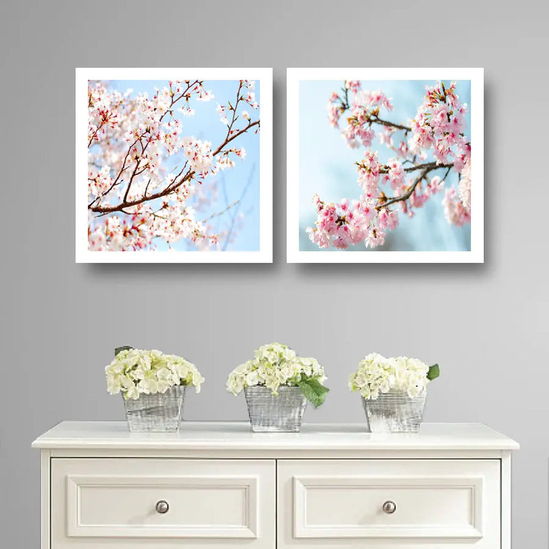 Set 2 Cuadros Sakura Flores Cerezo Arte Japones 33x33cm Marco Blanco