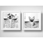 Set 2 Cuadros Perro Baño Mascota Diario Decoracion Pet Brs13