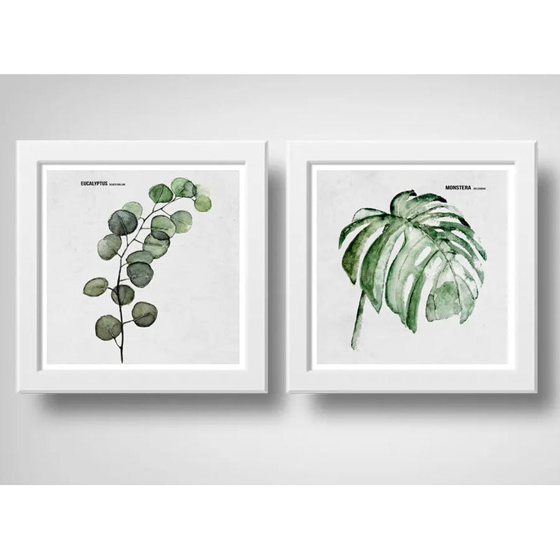 Set 2 Cuadros Hojas Minimalista Eucalipto Monstera Plantas