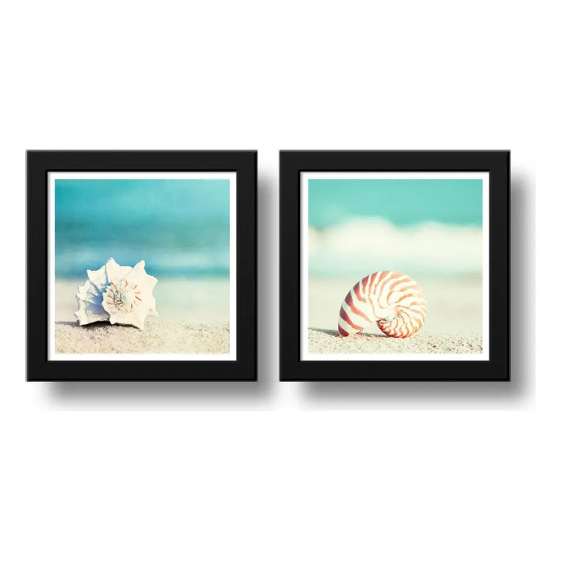 Set 2 Cuadros Conchas Mar Caracoles Playa Decoración Nautico