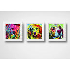 Set 3 Cuadros Perro Pop Art Colors Razas Mascotas Decoracion
