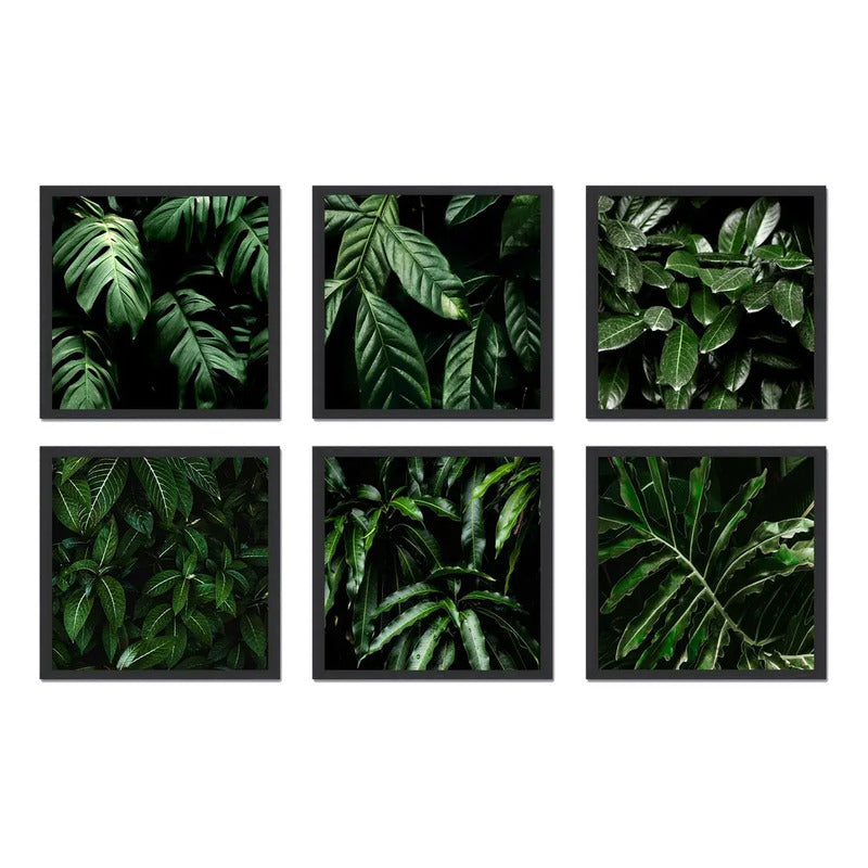 Set 6 Cuadros Hojas Plantas Verdes Decoracion Botanico 33x33 Marco Negro