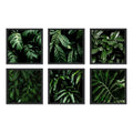 Set 6 Cuadros Hojas Plantas Verdes Decoracion Botanico 33x33 Marco Negro