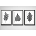 Set 3 Cuadros Hojas Minimalista Blanco Y Negro Arte Paspartú