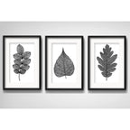 Set 3 Cuadros Hojas Minimalista Blanco Y Negro Arte Paspartú