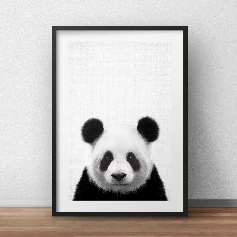 Cuadro Panda Blanco Y Negro Oso Animales Decoracion Paspartú Marco Negro