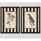 Set 2 Cuadros Living Dormitorio Hojas Aves Tonos Neutros Br2 Marco Negro