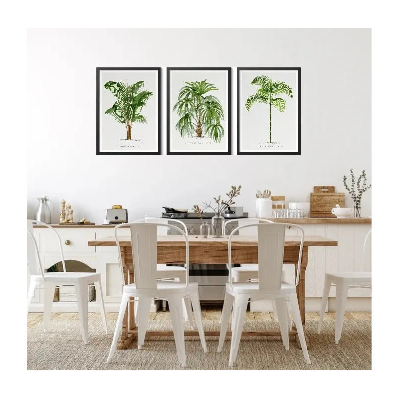 Set 3 Cuadros Palmeras Colección 2 Vintage Plantas Botanico Marco Negro