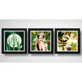 Set 3 Cuadros Frida Naturaleza Cactus Hojas Arte Botanico